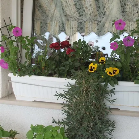 Sunny Garden アパート